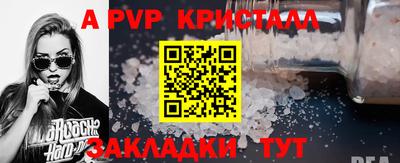 шишки Заволжье