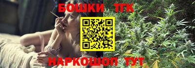 шишки Заволжье