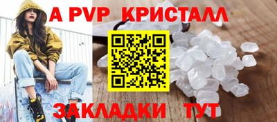 шишки Заволжье