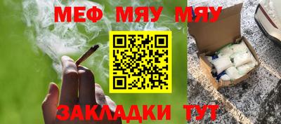 шишки Заволжье