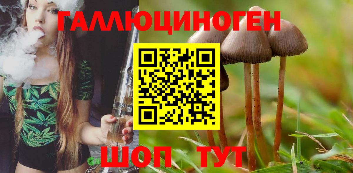 Псилоцибиновые грибы MAGIC MUSHROOMS  купить наркоту  Вход с VPN  Ленинск-Кузнецкий  Галлюциногенные грибы MAGIC MUSHROOMS 